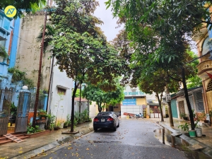 Nhà cấp 4 trên đất 191,2m2 (585), view mặt ngõ đường Nguyễn Viết Xuân thông ra Trần Tử Bình!